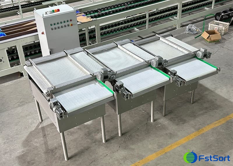 images/1713945008173fstsort grading machine for blueberries.jpg